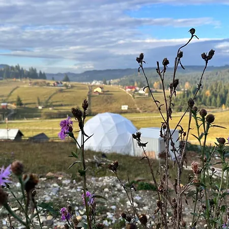 豪华帐篷 Dorna Iglu Luxury Glamping Dorna Cindrenilor